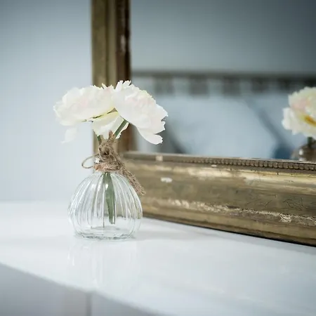 Semesterbostad Palais Des Congres Arenes Centre Climatise Familial *