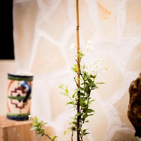 Casa vacanze Maison Martel Centre Climatisé