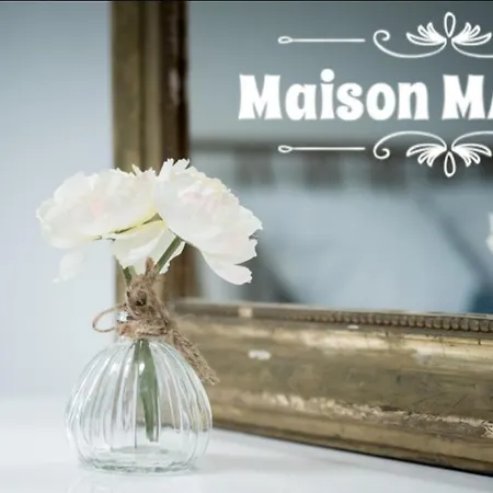 Maison Martel Centre Climatise Holiday home