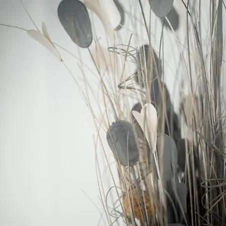 Casa vacanze Maison Martel Centre Climatisé Nîmes