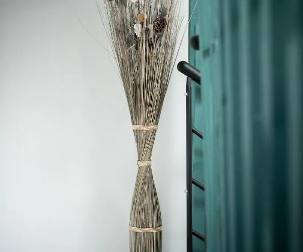 Semesterbostad Palais Des Congres Arenes Centre Climatise Familial *