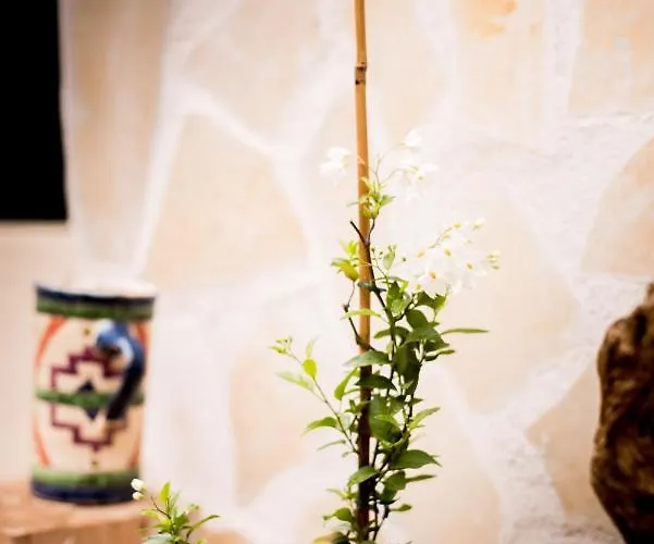 Semesterbostad Palais Des Congres Arenes Centre Climatise Familial