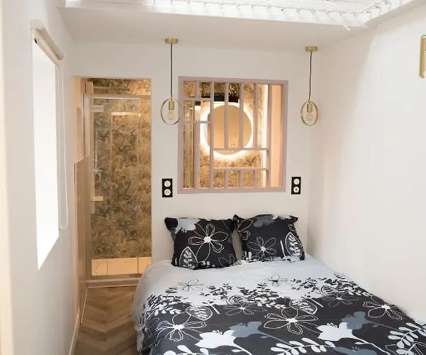 Semesterbostad Palais Des Congres Arenes Centre Climatise Familial